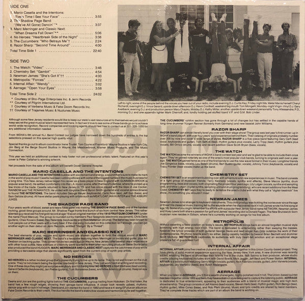 Various : 105.5 WDHA: New Jersey Rock IV (LP, Comp)