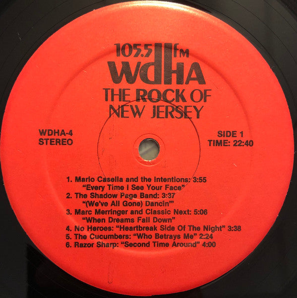 Various : 105.5 WDHA: New Jersey Rock IV (LP, Comp)