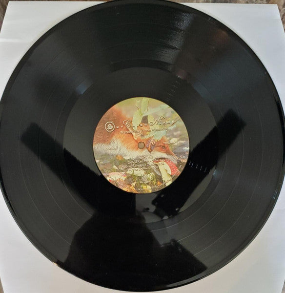 Sky Cries Mary : Wandering In The Vastness (LP, Album, Ltd, 180)