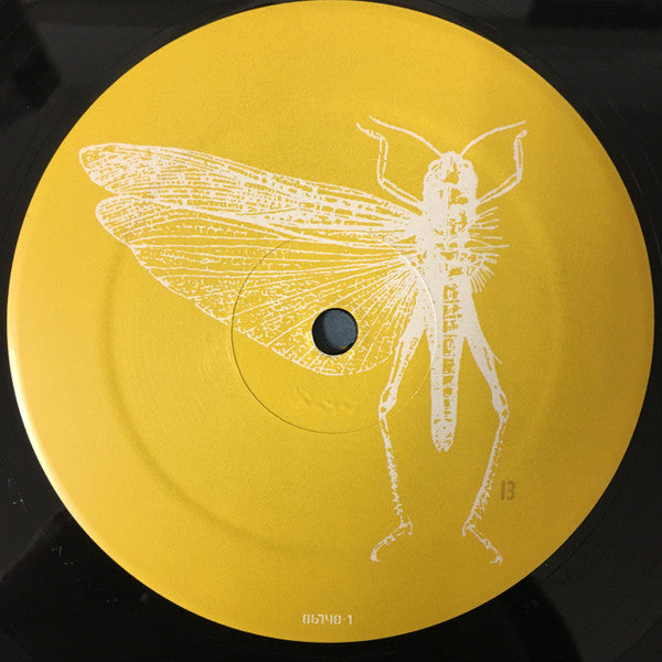 The Locust : New Erections (LP, Album, RE)