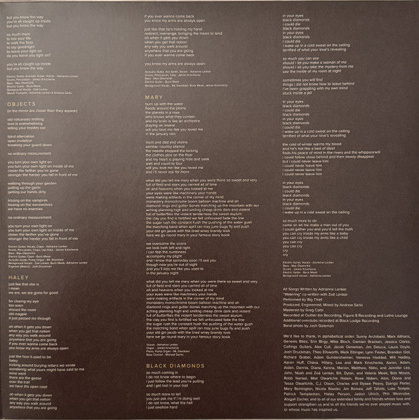 Big Thief : Capacity (LP, Album, RE, Eco)