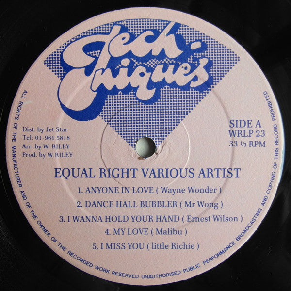 Various : Equal Rights (LP, Comp)