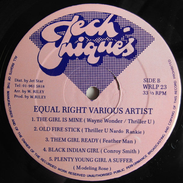 Various : Equal Rights (LP, Comp)