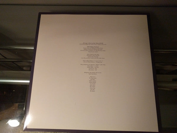 Wild Nothing : Nocturne (LP, Album)