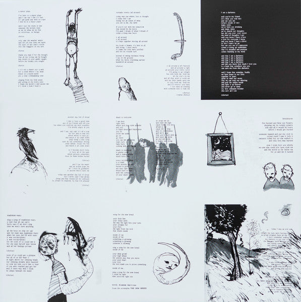 Bonnie 'Prince' Billy* : I See A Darkness (LP, Album)