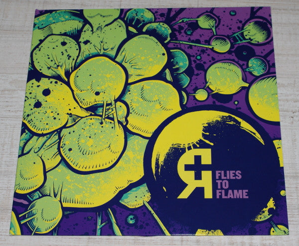 Rosetta (2) : Flies To Flame (12", EP, Yel)