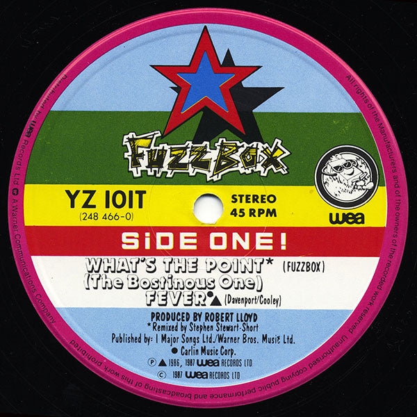 We've Got A Fuzzbox And We're Gonna Use It !!* : What's The Point (The Bostinous One) (12", Single)