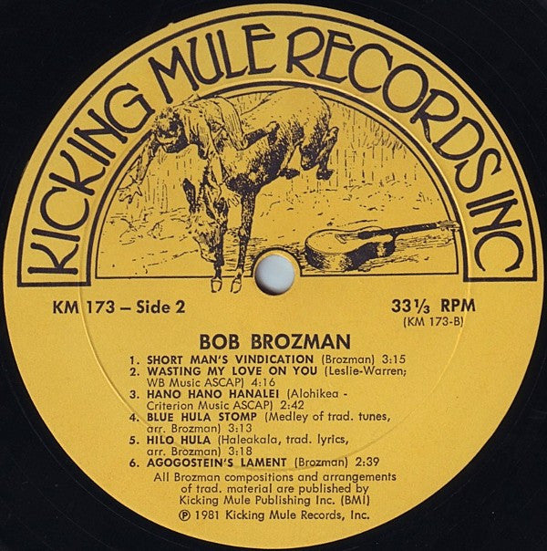 Bob Brozman : Blue Hula Stomp (LP, Album)