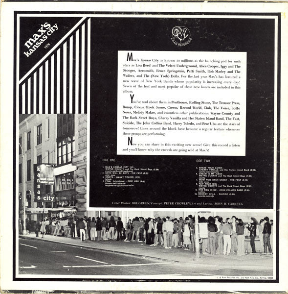 Various : 1976 Max's Kansas City (LP, Comp)