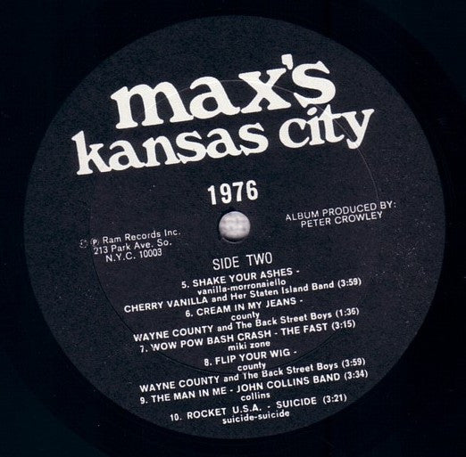 Various : 1976 Max's Kansas City (LP, Comp)
