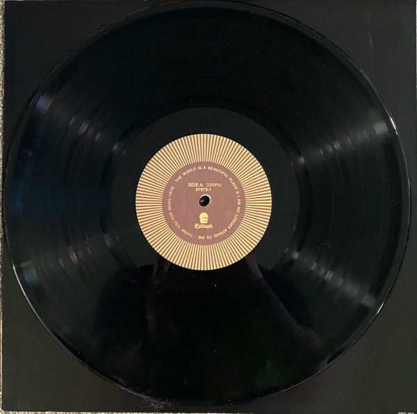 The World Is A Beautiful Place & I Am No Longer Afraid To Die : Thank You For Being Here (12", Ltd)
