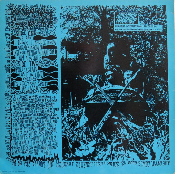 Dimentia 13 : Dimentia 13 (LP, Album)