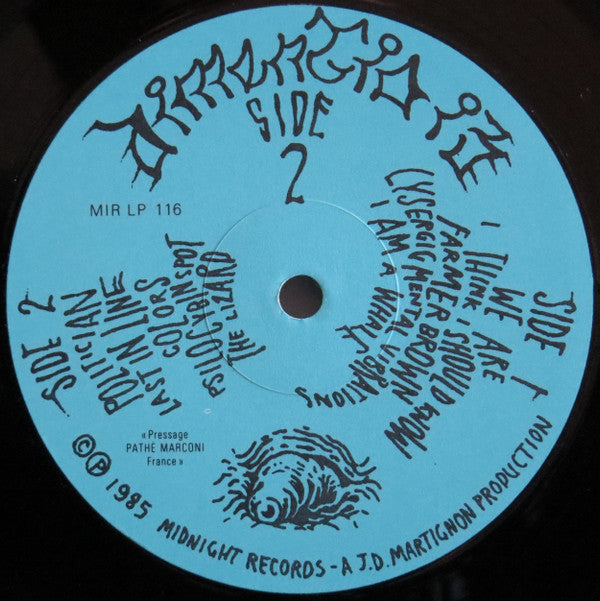 Dimentia 13 : Dimentia 13 (LP, Album)