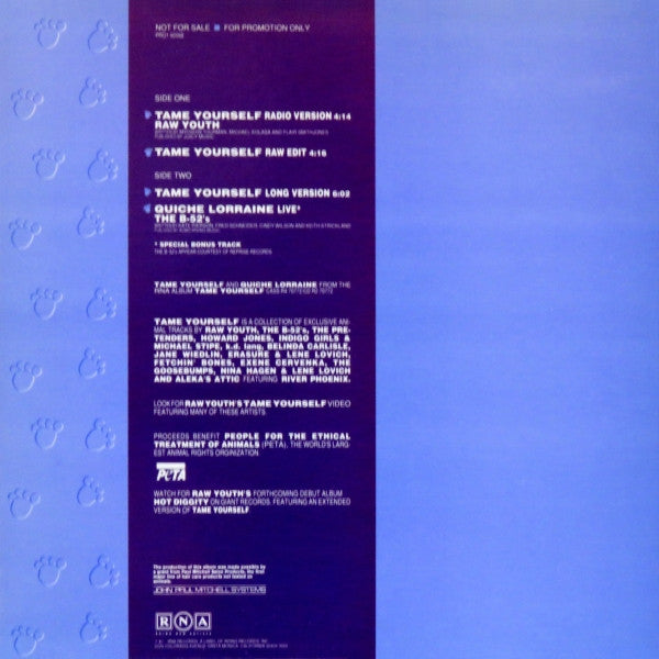 Various : Tame Yourself (12", Comp, Promo)