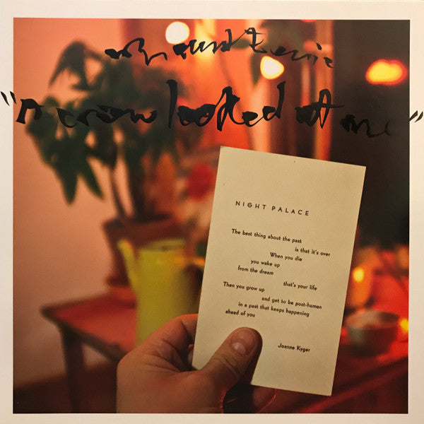 Mount Eerie : A Crow Looked At Me (LP, Album)