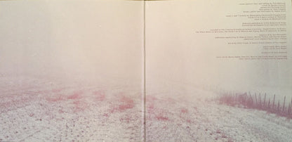 Slowdive : Slowdive (LP, Album)