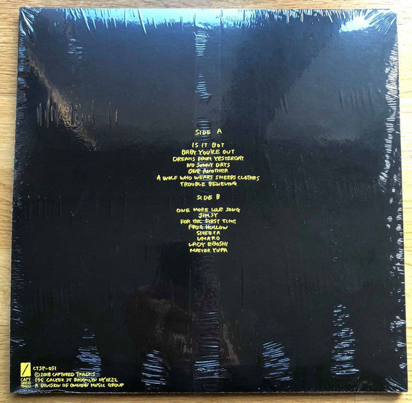 Mac Demarco : Old Dog Demos (LP, Album, RSD, Ltd, Gol)