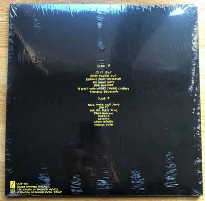 Mac Demarco : Old Dog Demos (LP, Album, RSD, Ltd, Gol)
