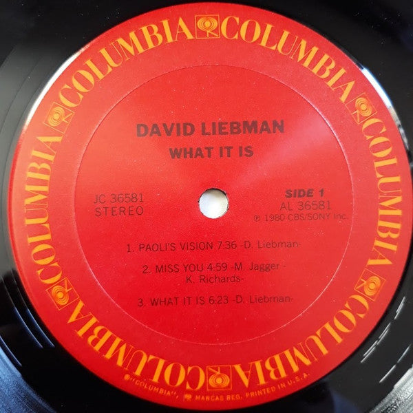 David Liebman : What It Is (LP, Album)