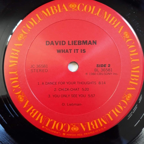 David Liebman : What It Is (LP, Album)