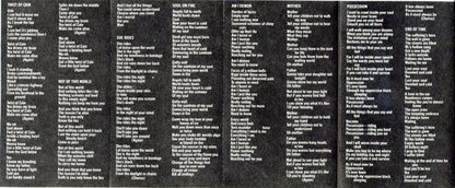 Danzig : Danzig (Cass, Album, Dol)