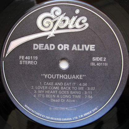 Dead Or Alive : Youthquake (LP, Album)