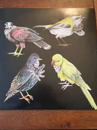 Jason Molina : Eight Gates (LP, Album, Ltd, Str)