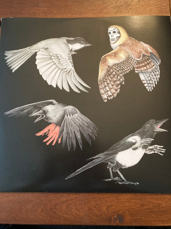 Jason Molina : Eight Gates (LP, Album, Ltd, Str)