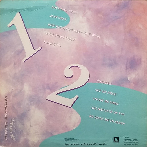 Lisa Whelchel : All Because Of You (LP, Album)
