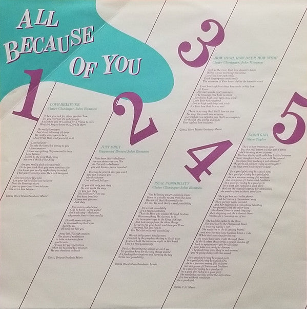 Lisa Whelchel : All Because Of You (LP, Album)