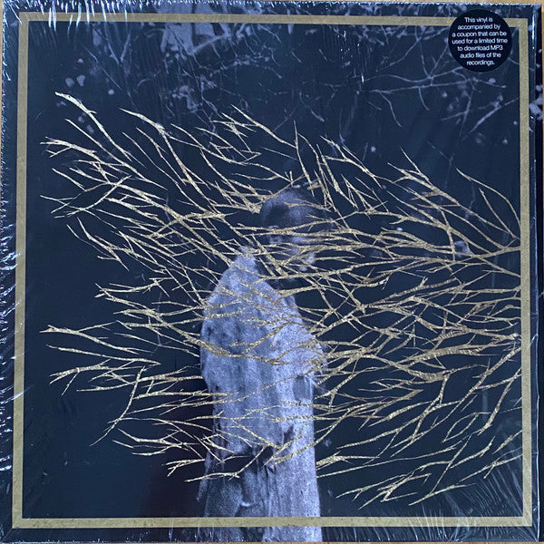 Forest Swords : Engravings (2x12", Album, RE)