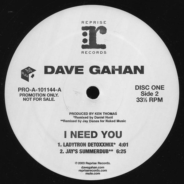 Dave Gahan : I Need You (2x12", Promo)