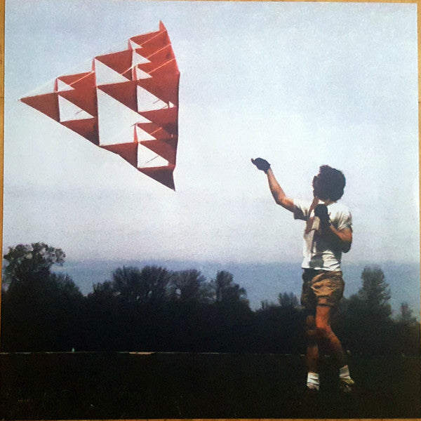 The Cave Singers : Welcome Joy (LP, Album)