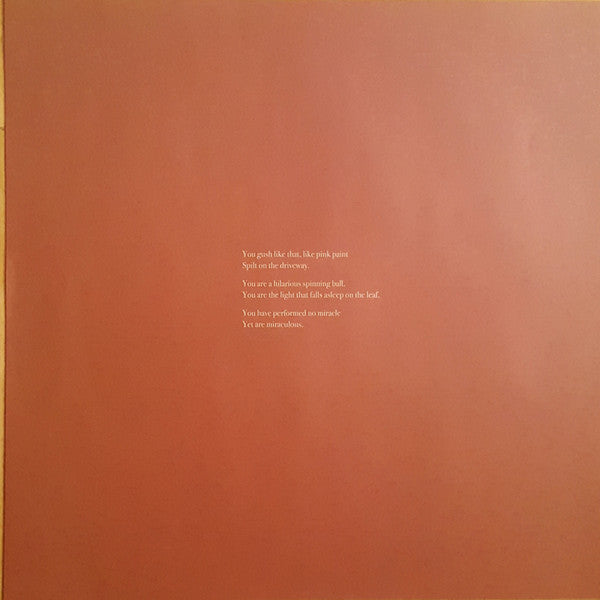 The Cave Singers : Welcome Joy (LP, Album)