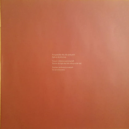 The Cave Singers : Welcome Joy (LP, Album)