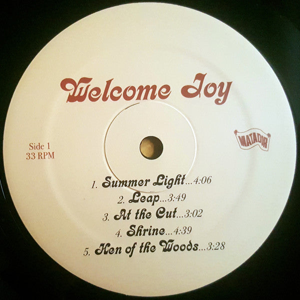 The Cave Singers : Welcome Joy (LP, Album)