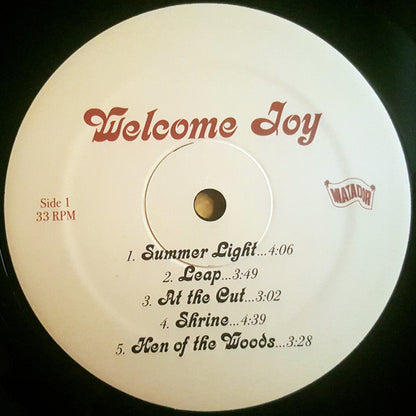 The Cave Singers : Welcome Joy (LP, Album)