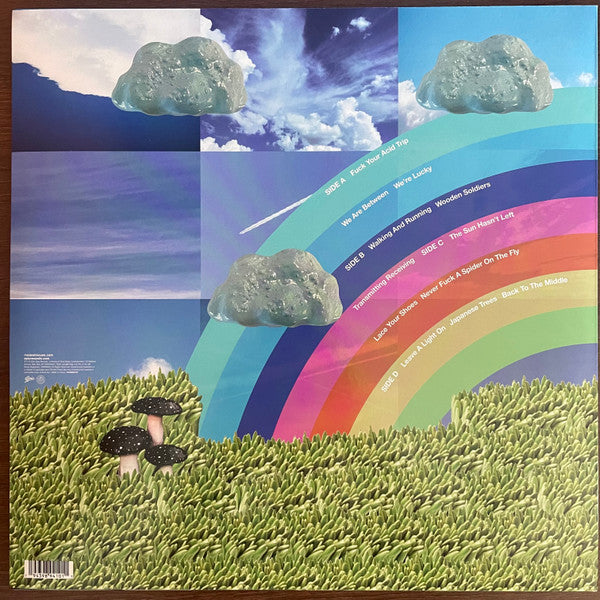 Modest Mouse : The Golden Casket (2xLP, Album)