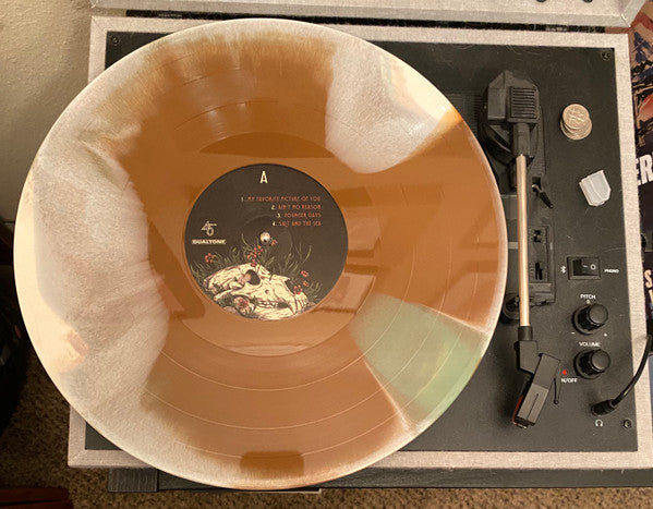 Various : Amerikinda: 20 Years Of Dualtone (2x12", Comp, Club, Ltd, Cam)