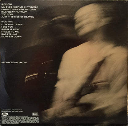 David Wilcox (2) : My Eyes Keep Me In Trouble (LP, Album)