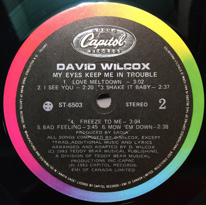 David Wilcox (2) : My Eyes Keep Me In Trouble (LP, Album)