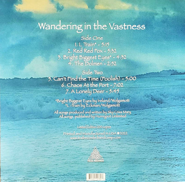 Sky Cries Mary : Wandering In The Vastness (LP, Album, Ltd, 180)