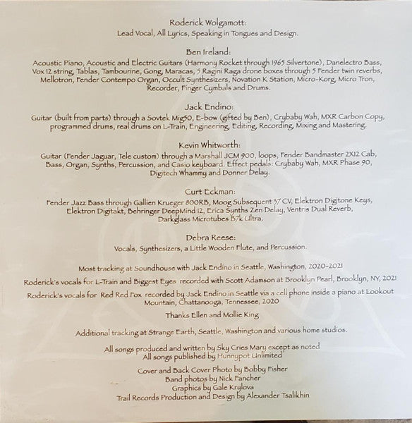 Sky Cries Mary : Wandering In The Vastness (LP, Album, Ltd, 180)