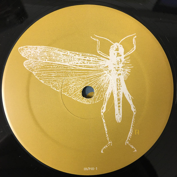 The Locust : New Erections (LP, Album, RE)