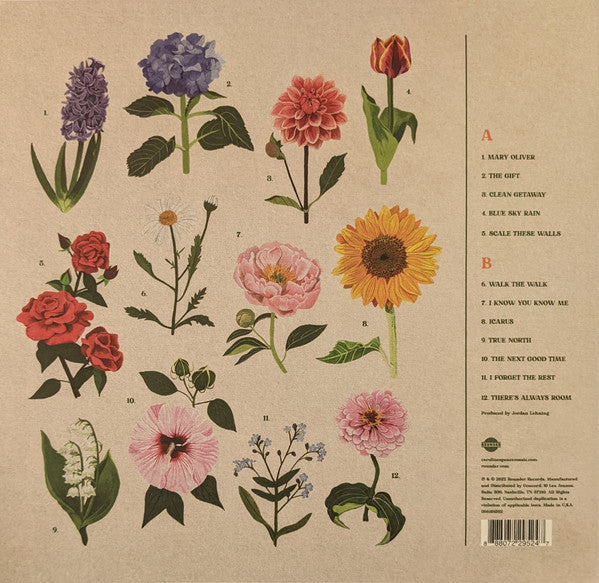 Caroline Spence : True North (LP, Album, Ltd, Pin)