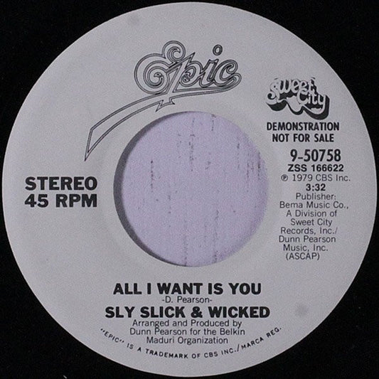 Sly Slick & Wicked* : All I Want Is You (7", Promo)
