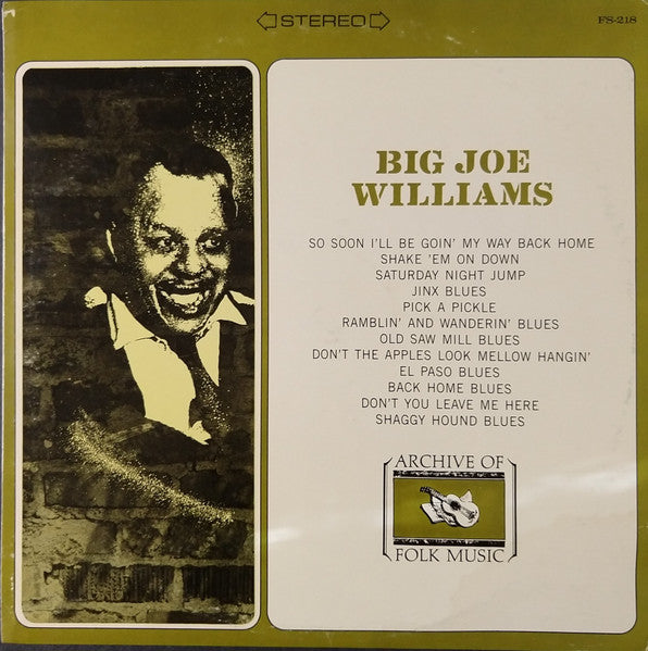 Big Joe Williams : Big Joe Williams (LP, Album)