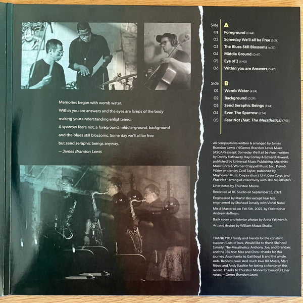James Brandon Lewis Trio : Eye Of I (LP, Album, Gat)