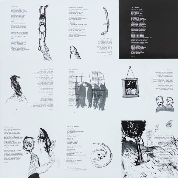Bonnie 'Prince' Billy* : I See A Darkness (LP, Album)