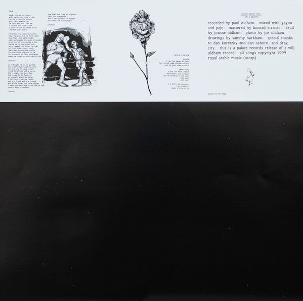 Bonnie 'Prince' Billy* : I See A Darkness (LP, Album)
